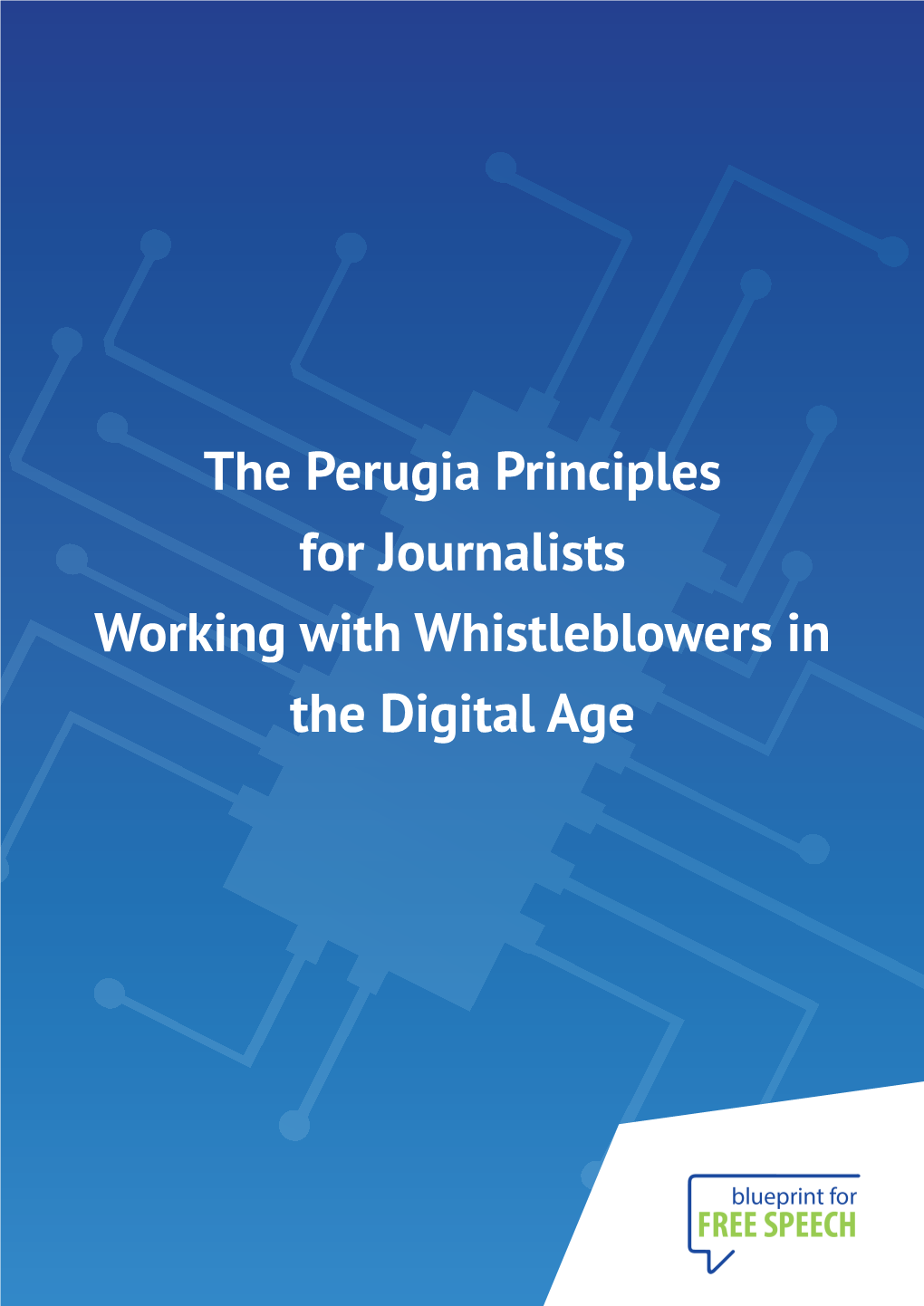 The Perugia Principles for Journalists Working with Whistleblowers in the Digital Age 2 the Origin of the Perugia Principles