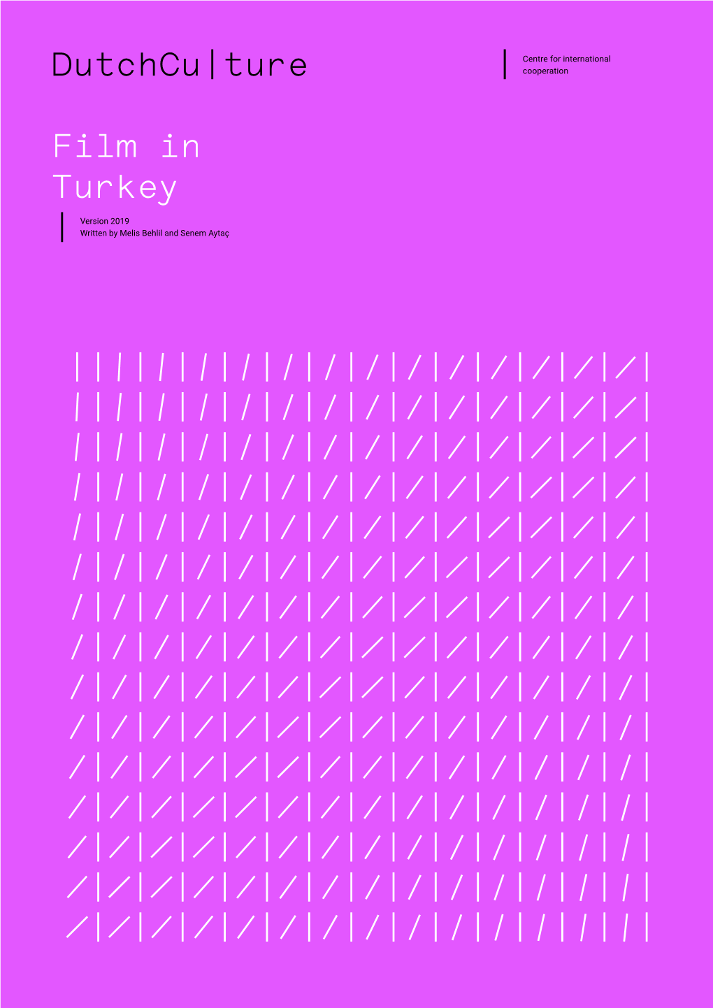 Ture Film in Turkey