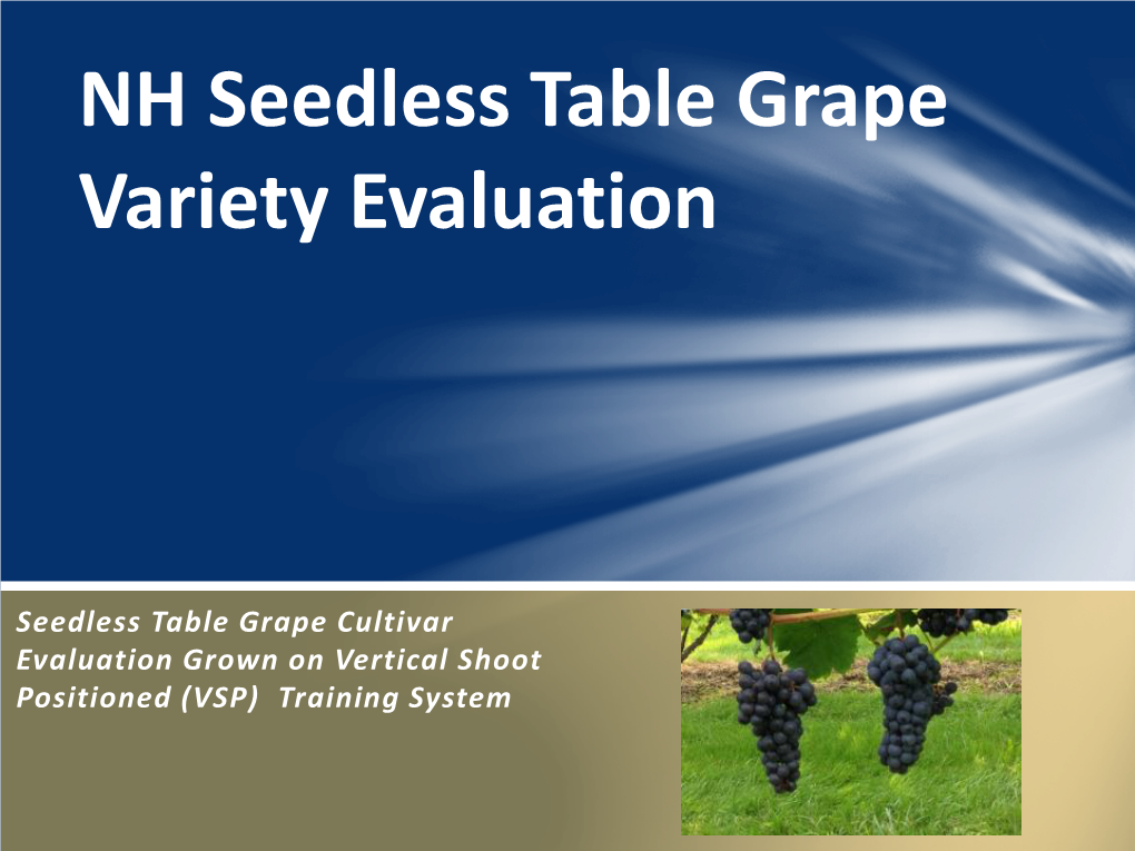 Seedless Table Grape Variety Evaluation Grown on VSP Training