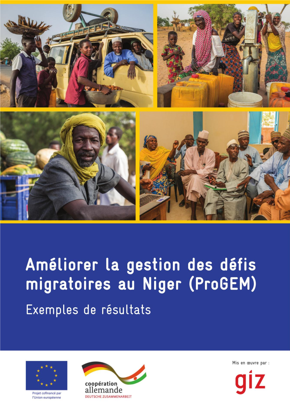 Progem Niger Exemples De Re