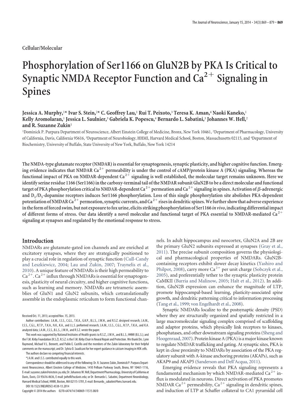 Phosphorylation of Ser1166 on Glun2b by PKA Is Critical to Synaptic NMDA Receptor Function and Ca2ϩ Signaling in Spines
