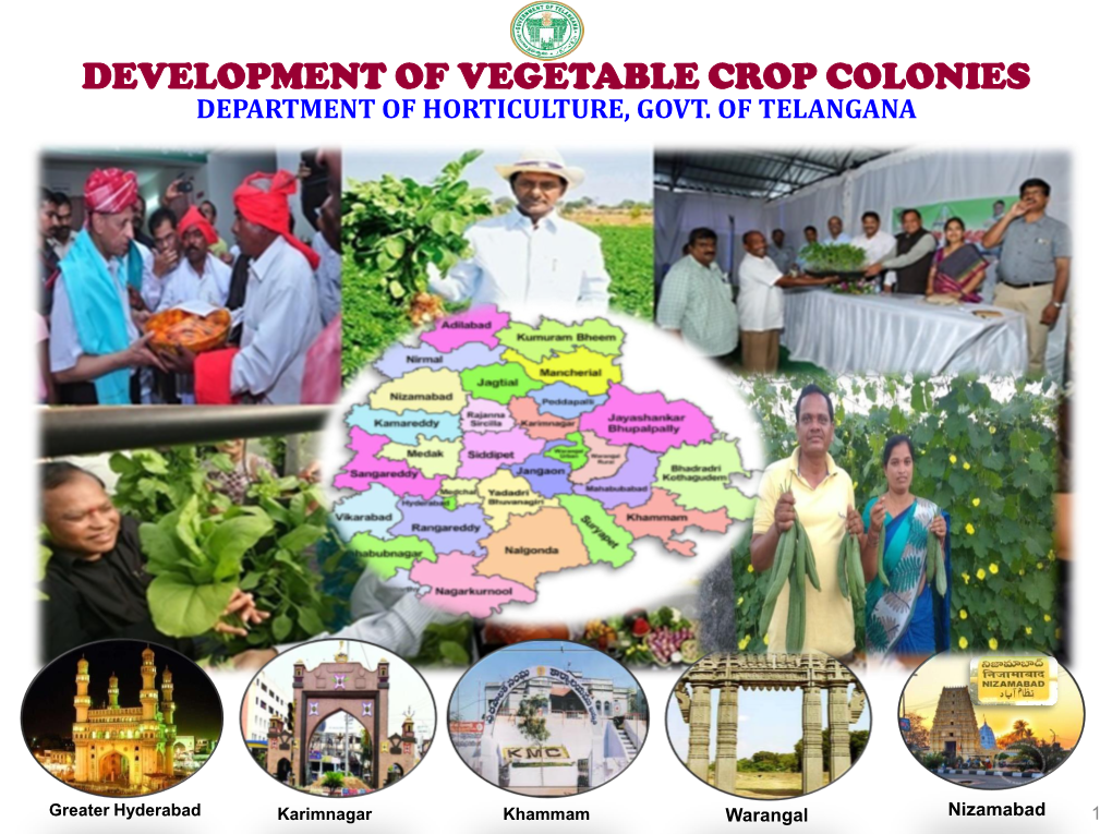 Development of Vegetable Crop Colonies Department of Horticulture, Govt