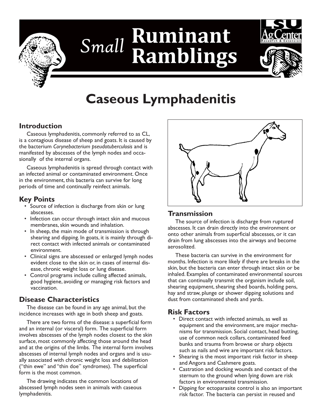 Caseous Lymphadenitis