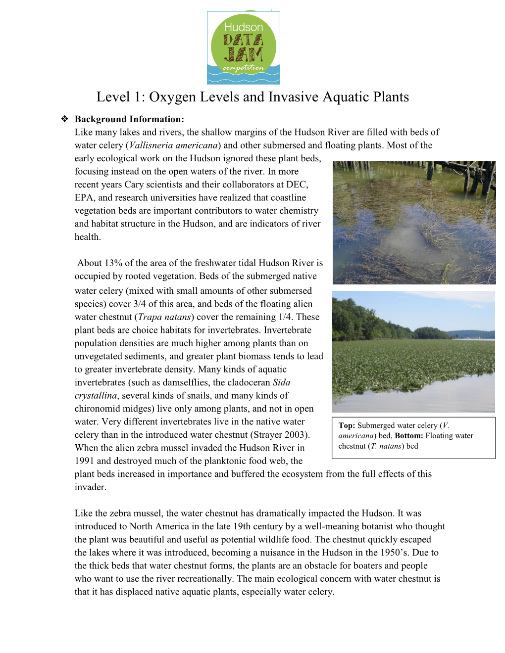 Oxygen Levels and Invasive Aquatic Plants