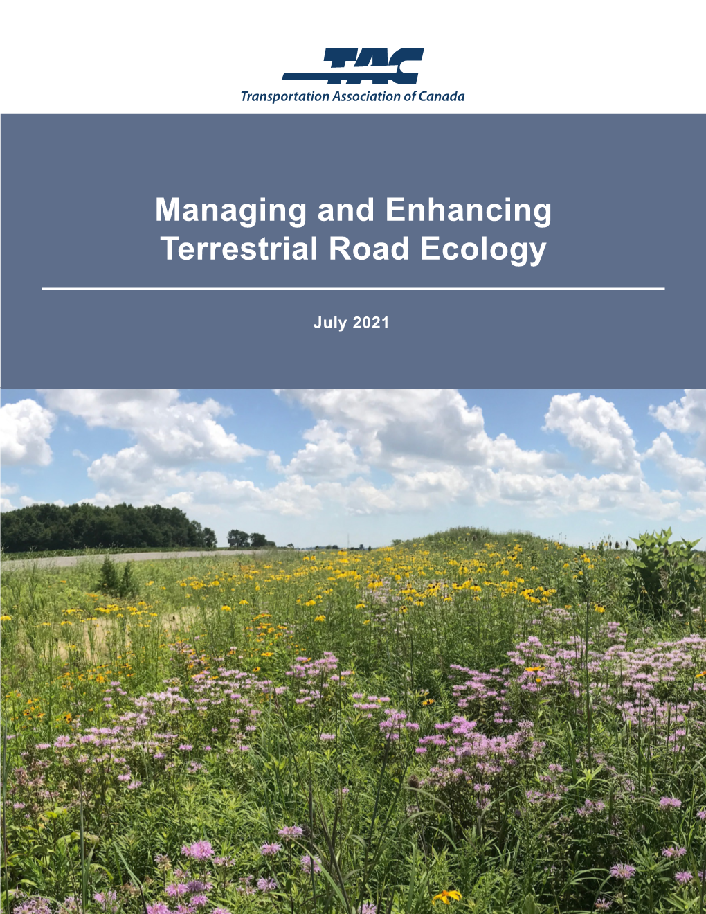 Managing and Enhancing Terrestrial Road Ecology