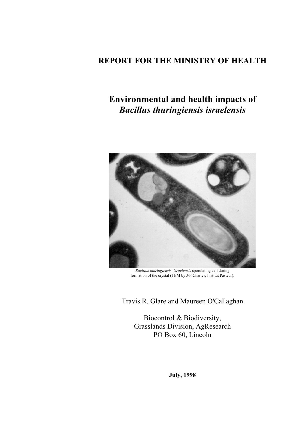 Bacillus Thuringiensis Israelensis