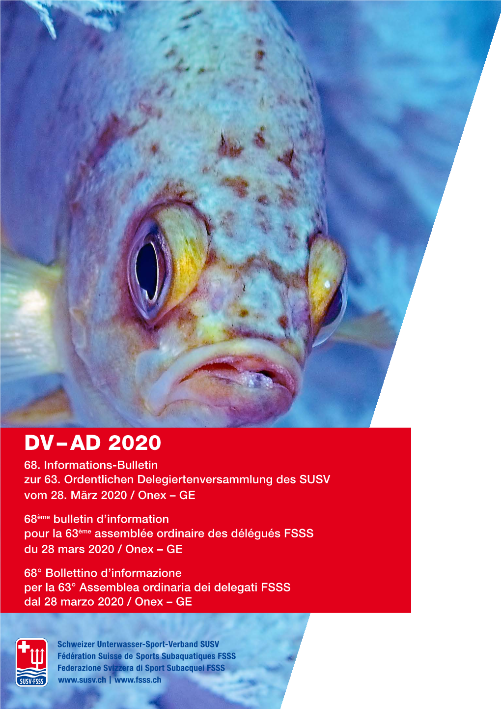 Dv – Ad 2020 68