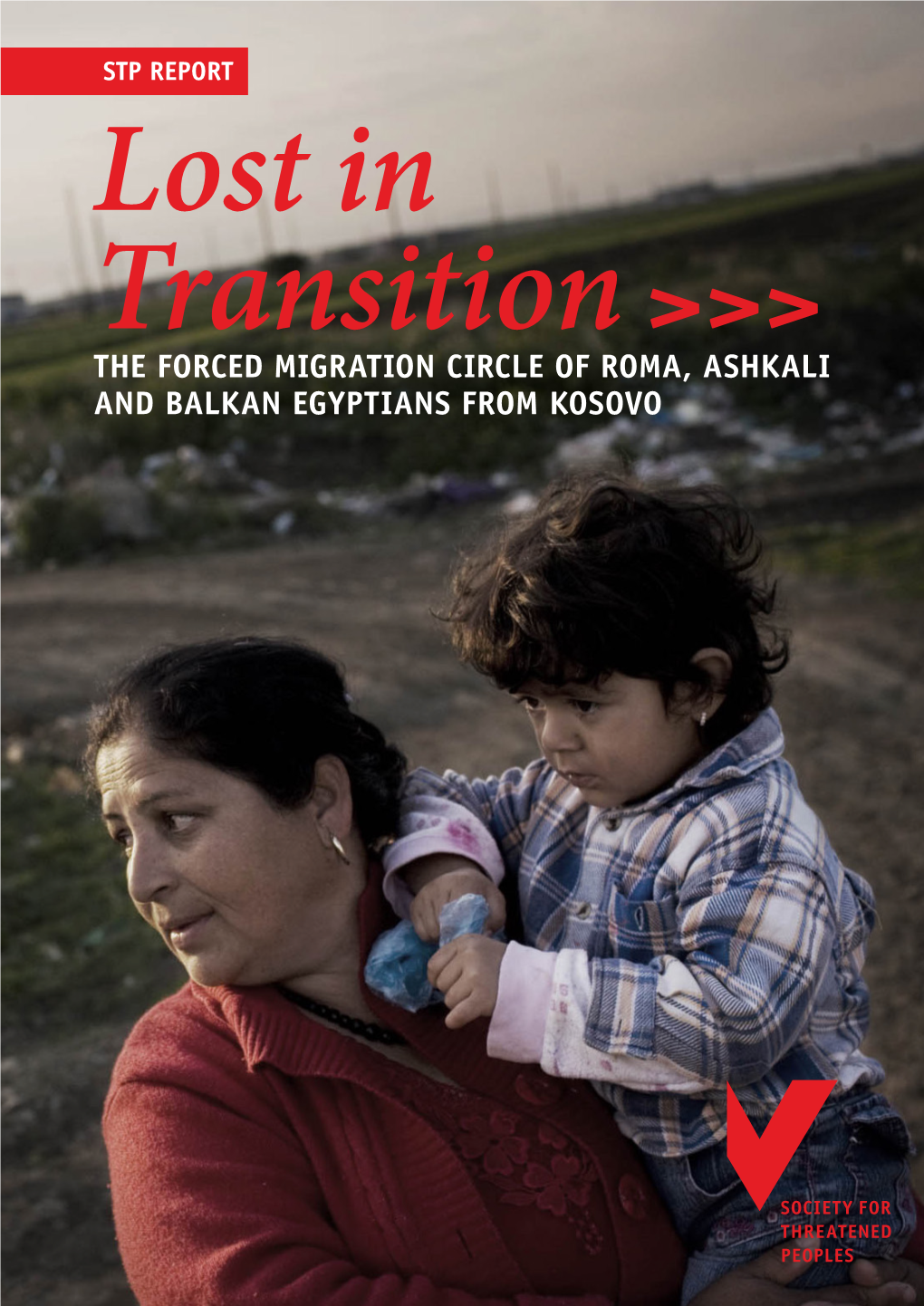 Lost in Transition: Where Are the Roma, Ashkali and Balkan Egyptians Now? 3