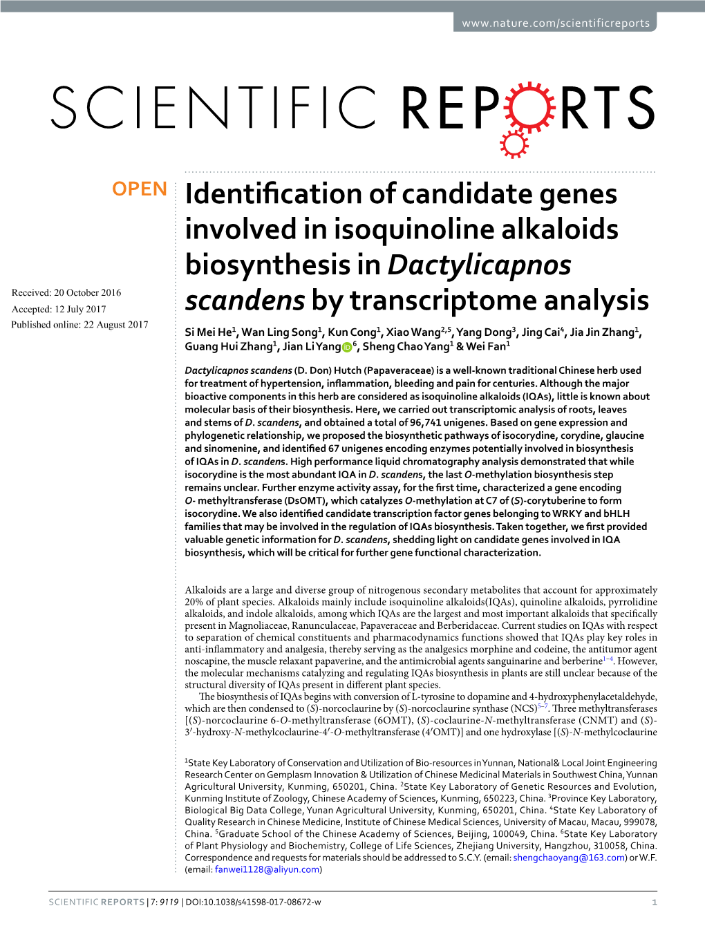 Identification of Candidate Genes Involved in Isoquinoline Alkaloids