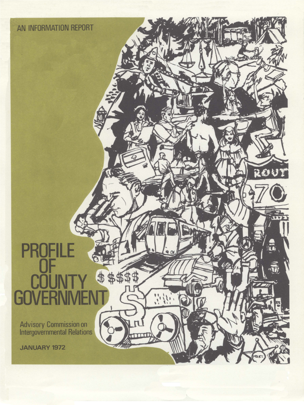 Profile of County Government