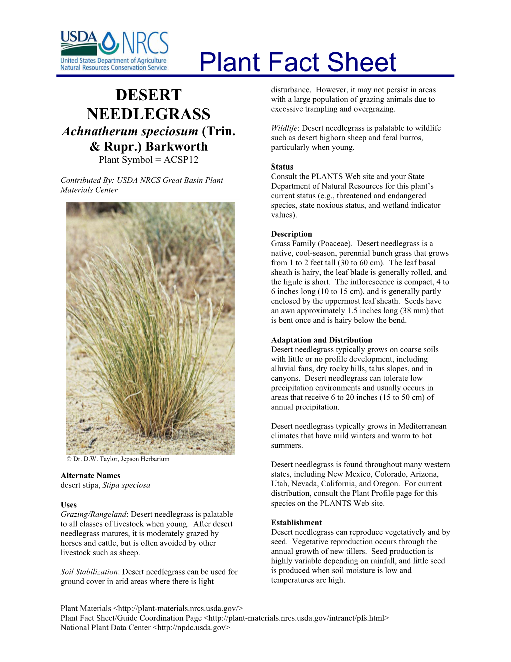 Desert Needlegrass Is Palatable to Wildlife Achnatherum Speciosum (Trin