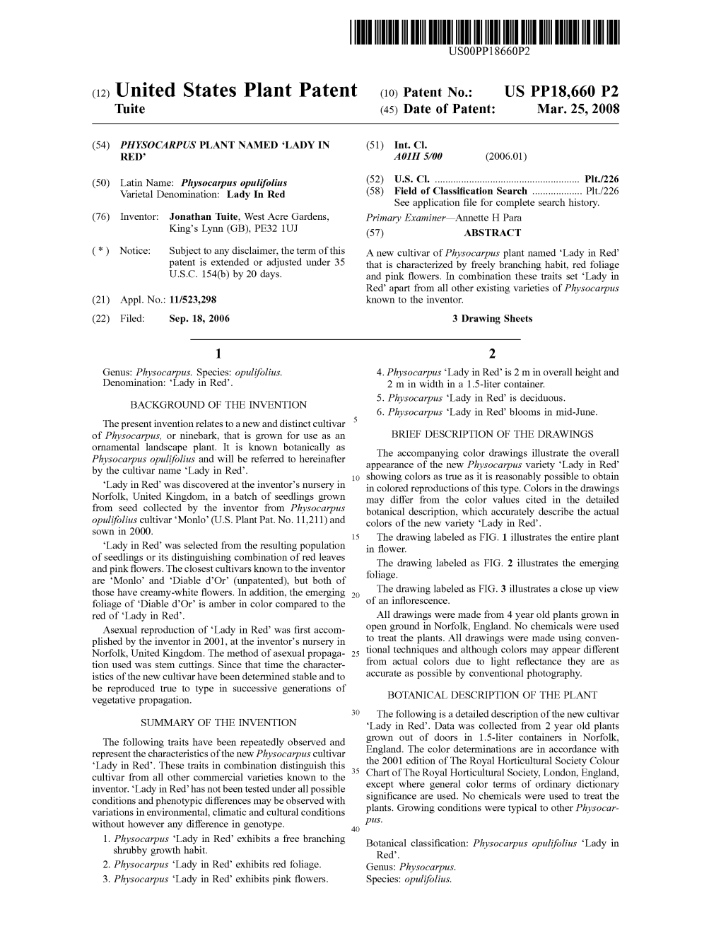 (12) United States Plant Patent (10) Patent No.: US PP18,660 P2 Tuite (45) Date of Patent: Mar