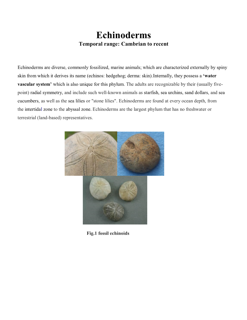 Echinoderms Temporal Range: Cambrian to Recent