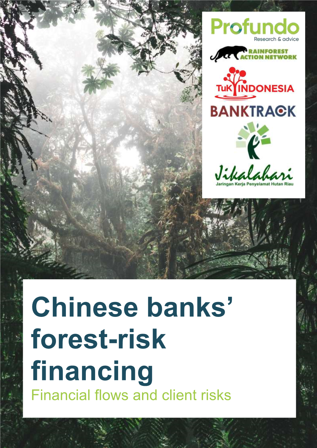 May 10 2021 Chinese Banks' Forest-Risk Financing
