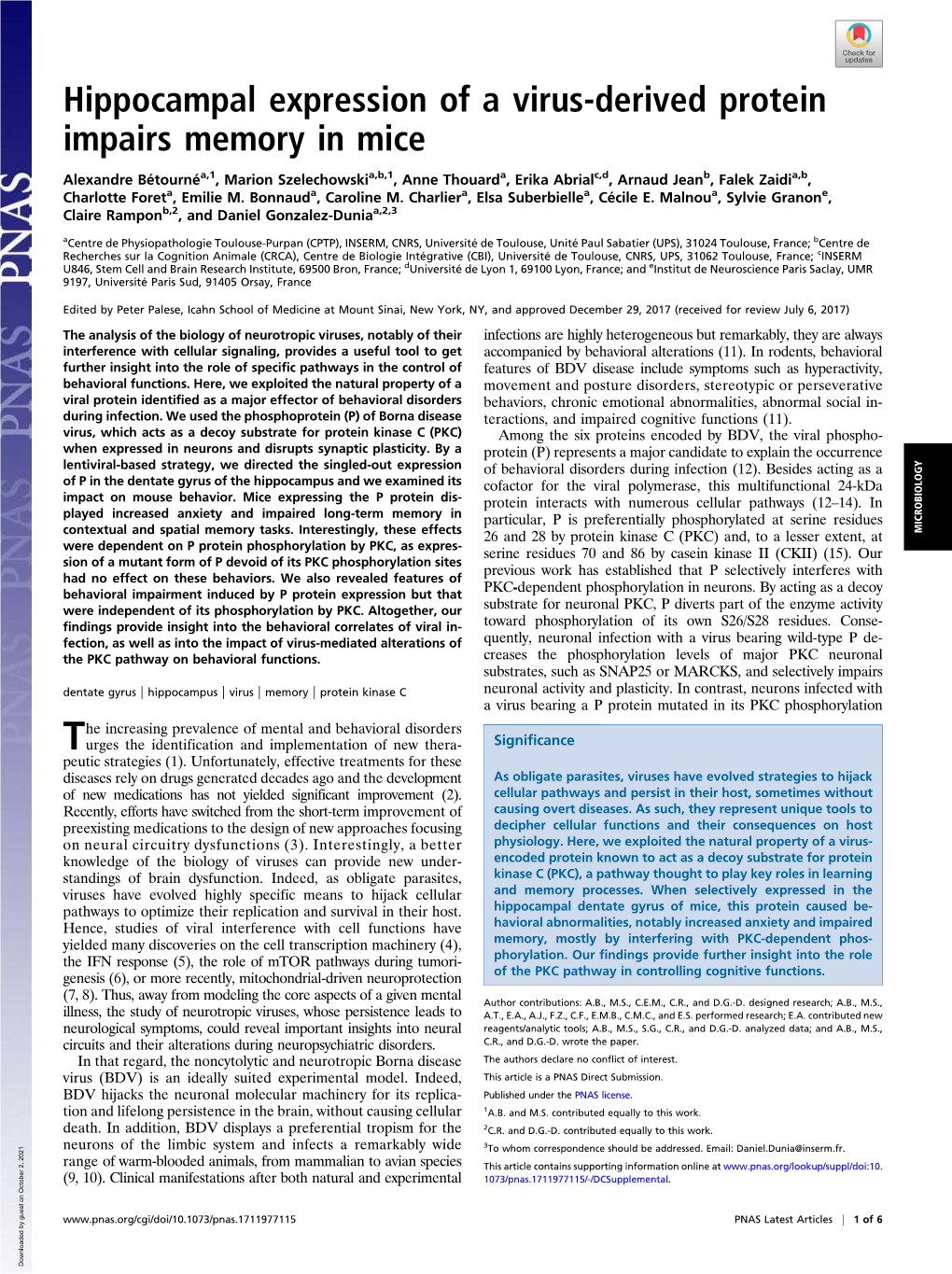 Hippocampal Expression of a Virus-Derived Protein Impairs Memory in Mice