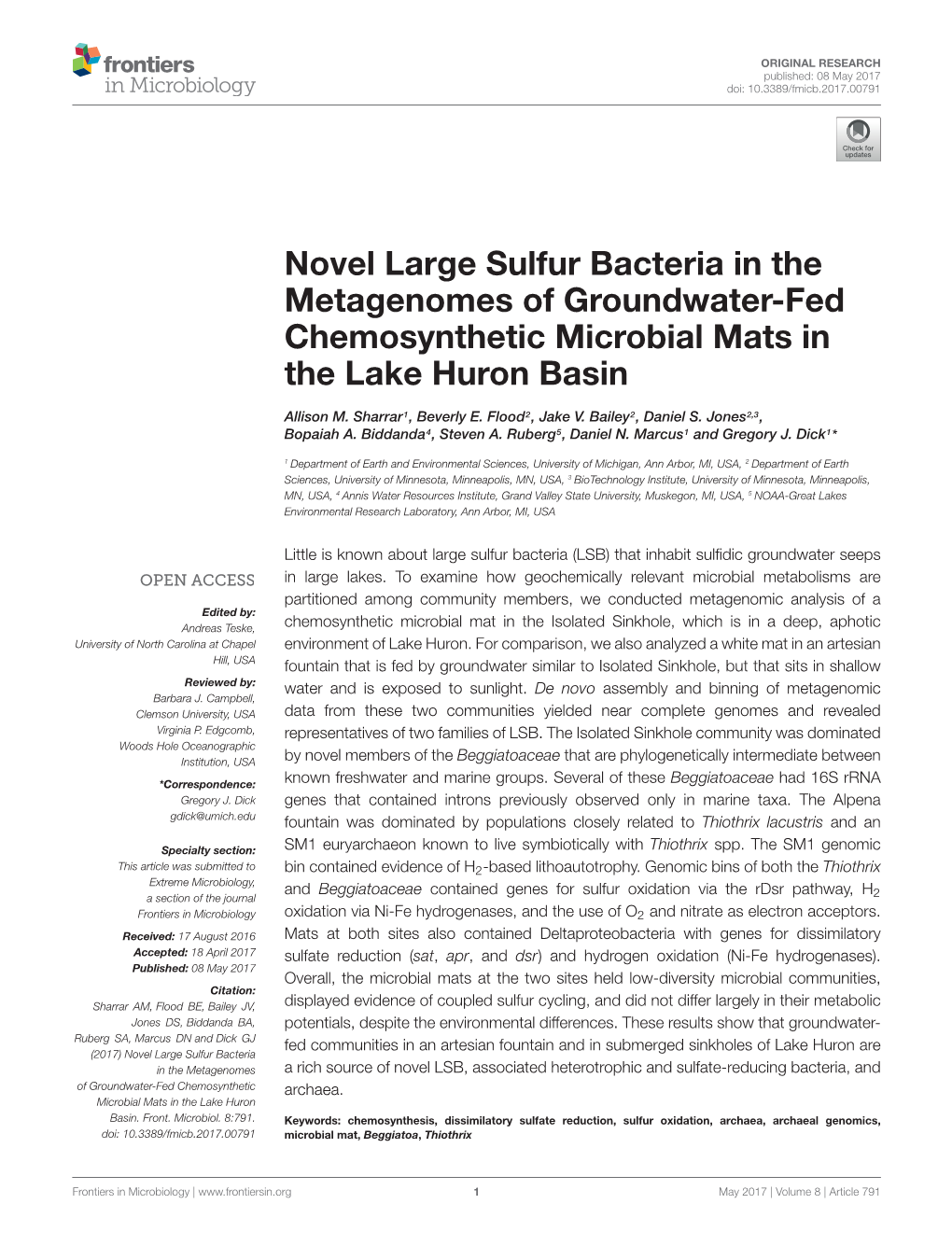 Novel Large Sulfur Bacteria in the Metagenomes of Groundwater-Fed Chemosynthetic Microbial Mats in the Lake Huron Basin