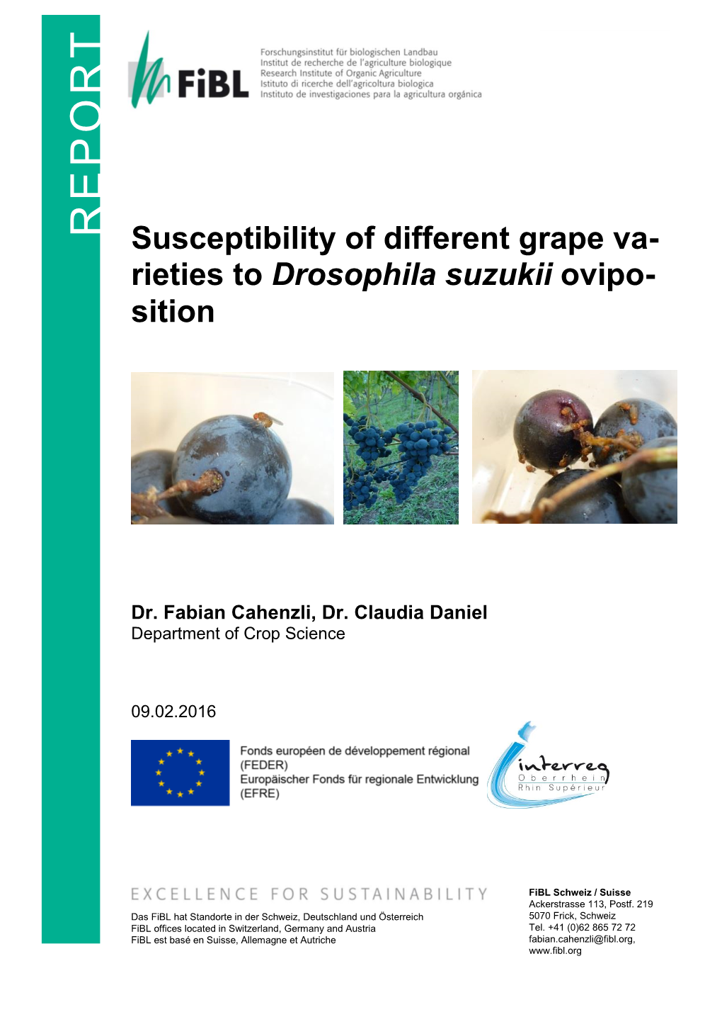 Susceptibility of Different Grape Va- Rieties to Drosophila Suzukii Ovipo- Sition