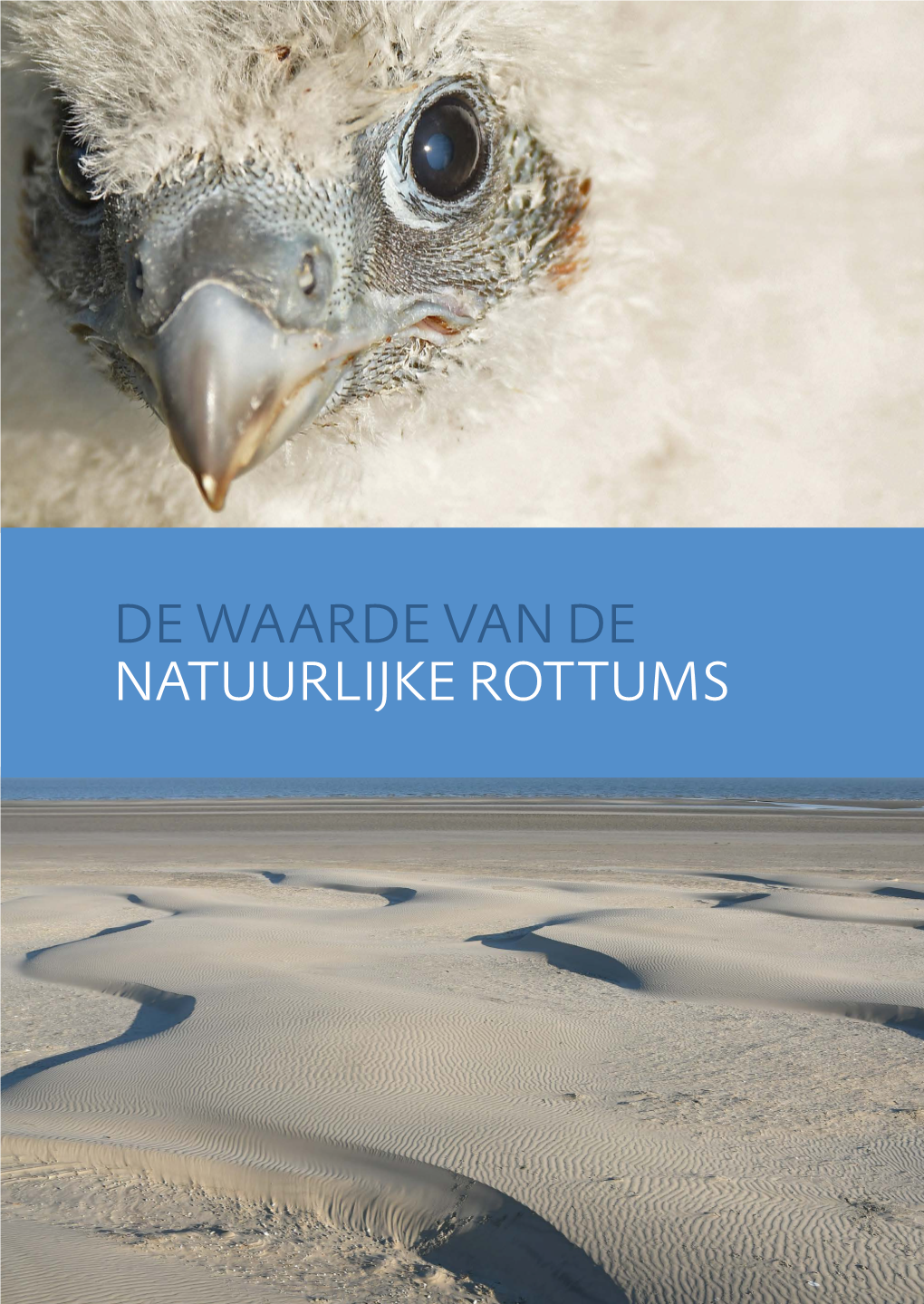 De Waarde Van De Natuurlijke Rottums De Waarde Van De Natuurlijke Rottums