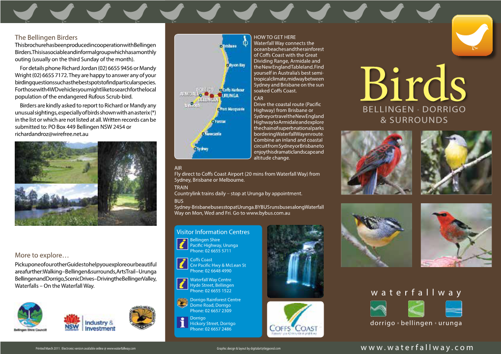 Birds of Bellingen, Dorrigo & Surrounds