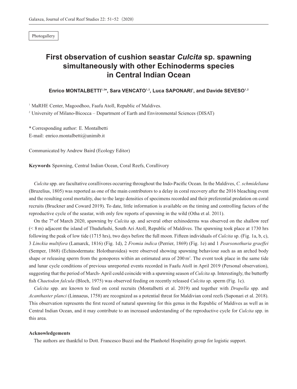 First Observation of Cushion Seastar Culcita Sp. Spawning Simultaneously with Other Echinoderms Species in Central Indian Ocean