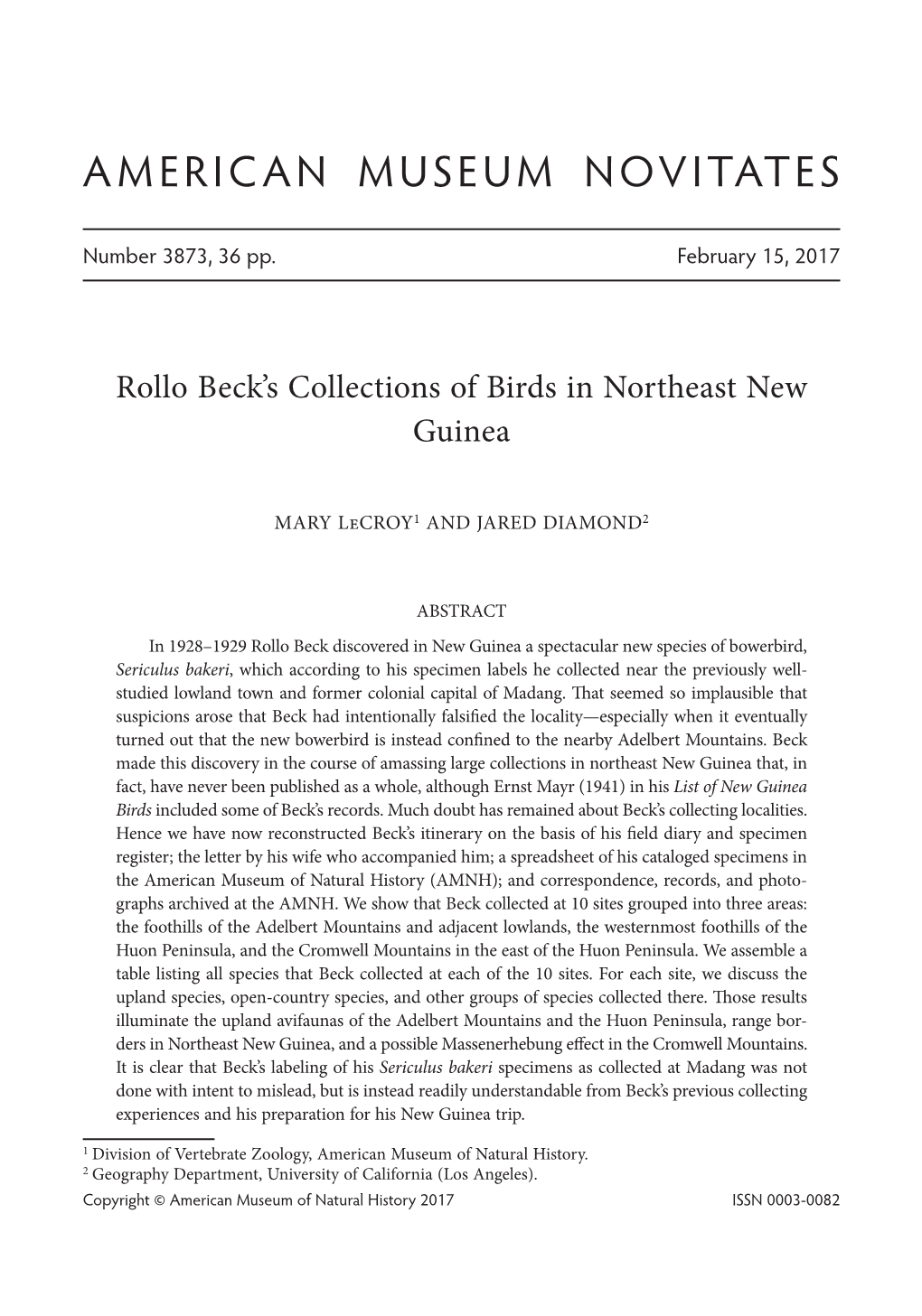Rollo Beck's Collections of Birds in Northeast New Guinea