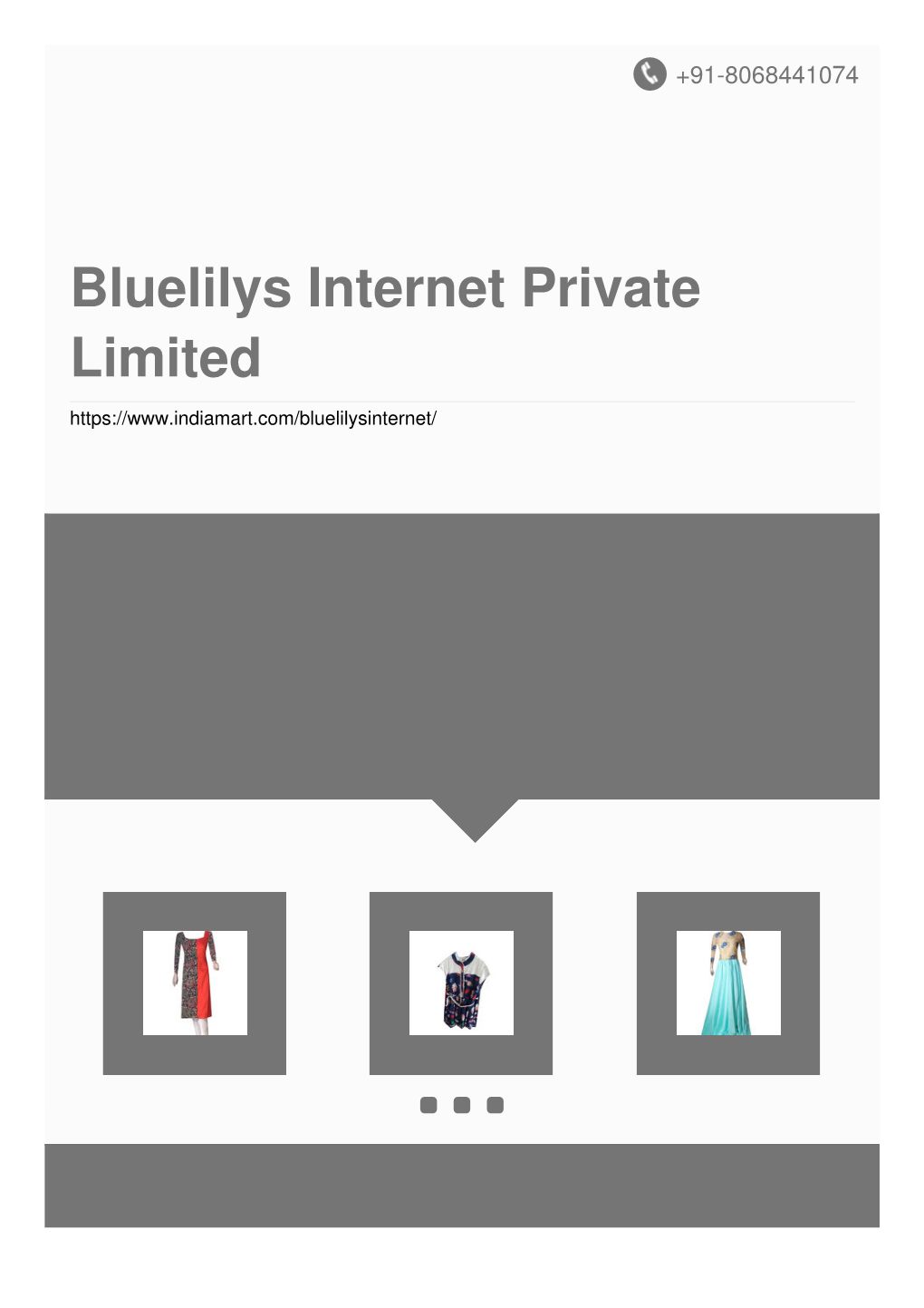Bluelilys Internet Private Limited About Us