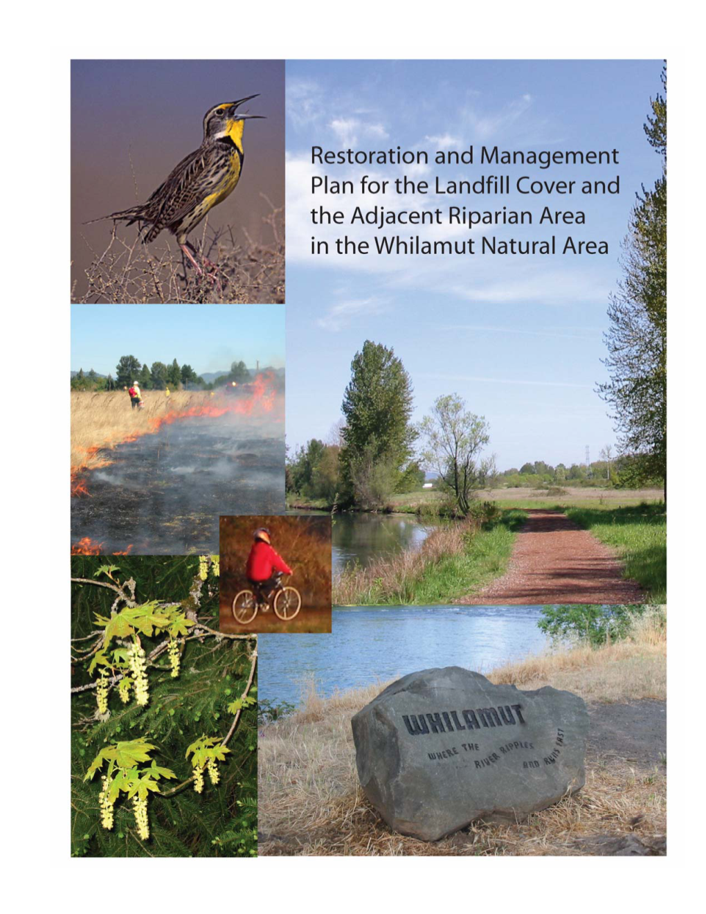 Whilamut Natural Area Restoration & Management Plan