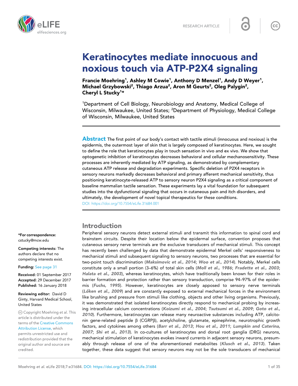 Keratinocytes Mediate Innocuous and Noxious Touch Via ATP-P2X4 Signaling