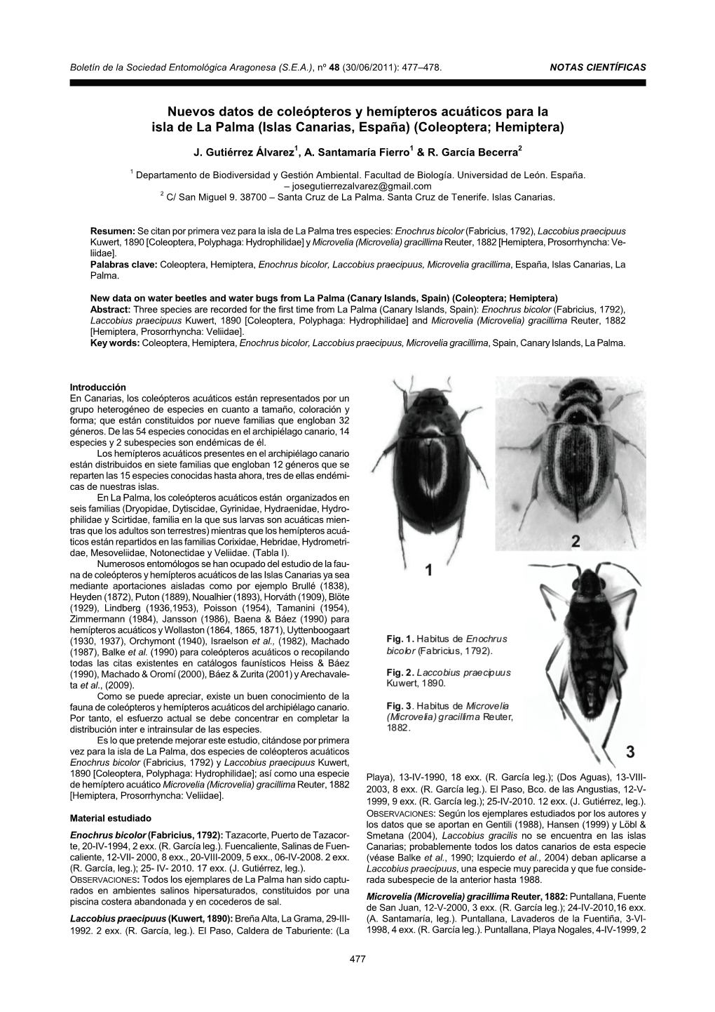 Islas Canarias, España) (Coleoptera; Hemiptera