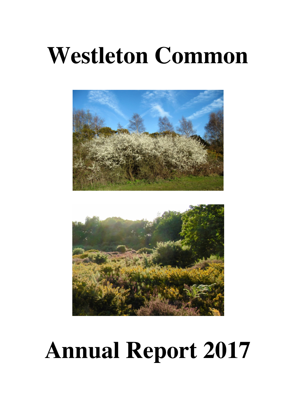 Westleton Common Annual Report 2017