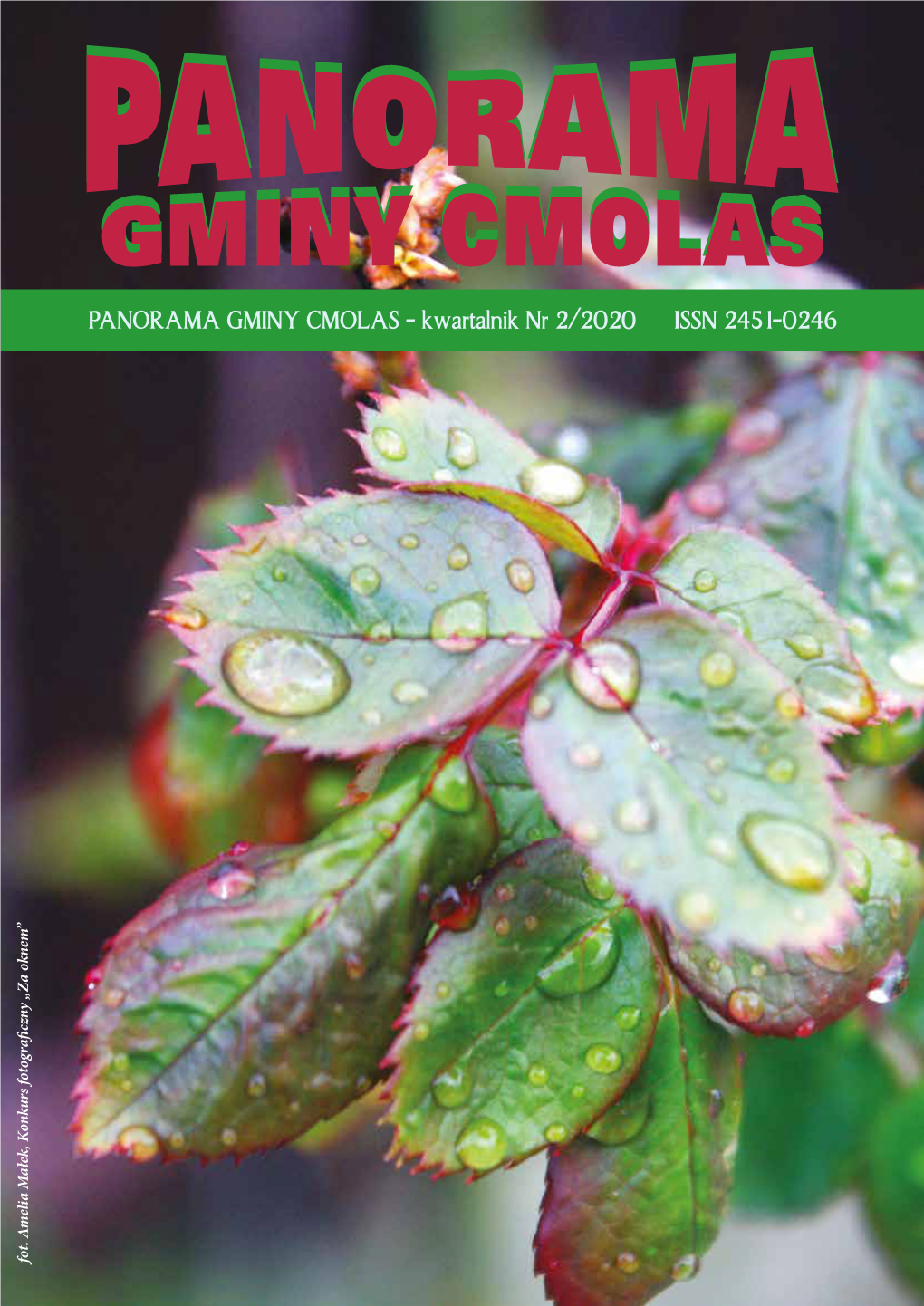PANORAMA GMINY CMOLAS - Kwartalnik Nr 2/2020 ISSN 2451-0246 Fot