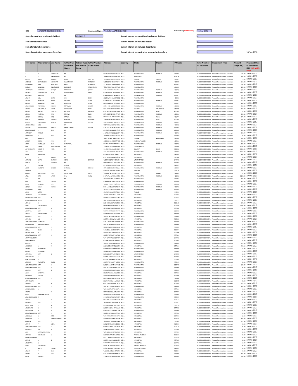 Investor Detail Excel