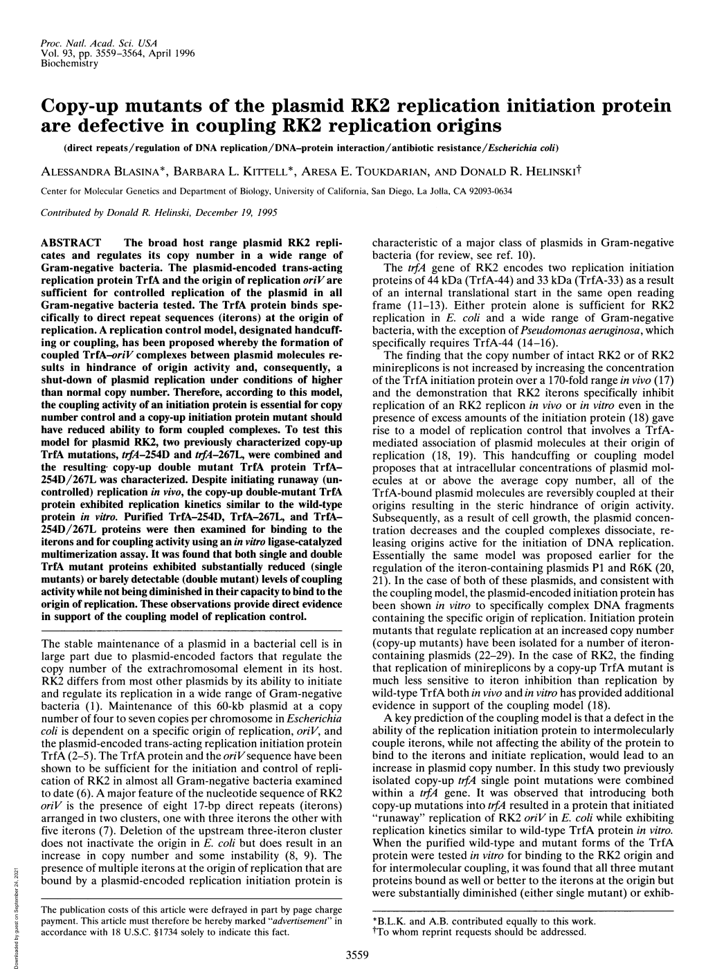 Copy-Up Mutants of the Plasmid RK2 Replication Initiation Protein