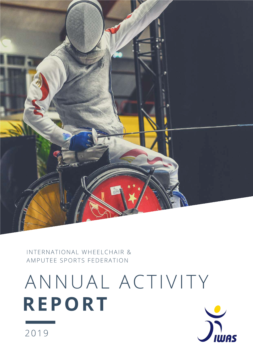 Annual Activity Report