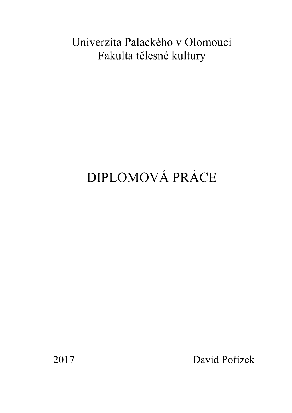 Diplomová Práce