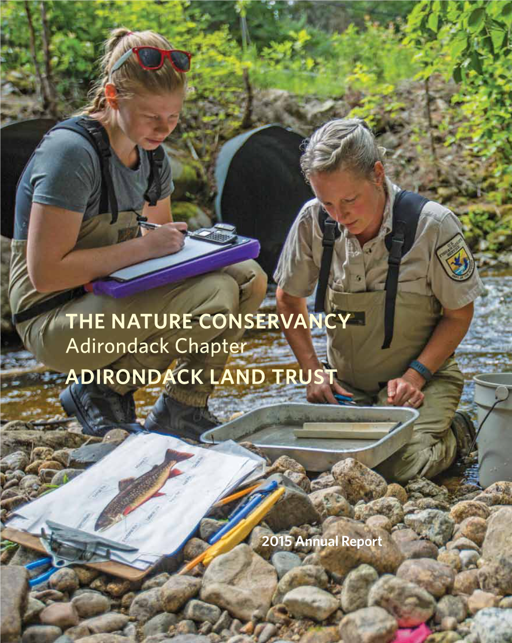 Adirondack Land Trust the Nature Conservancy Adirondack