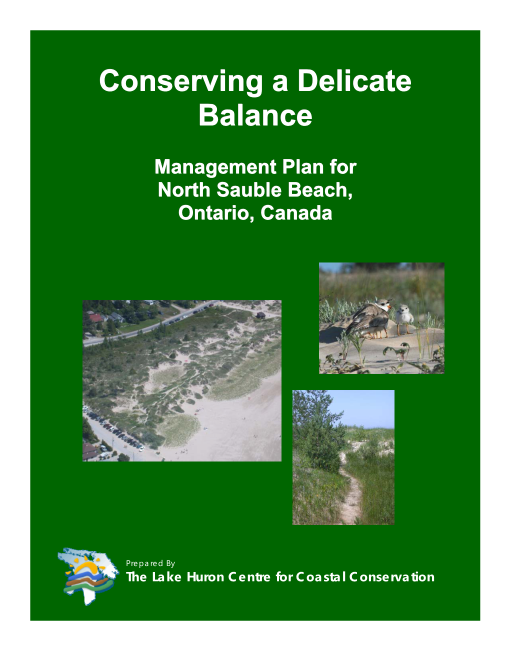 North Sauble Beach Management Plan 2007