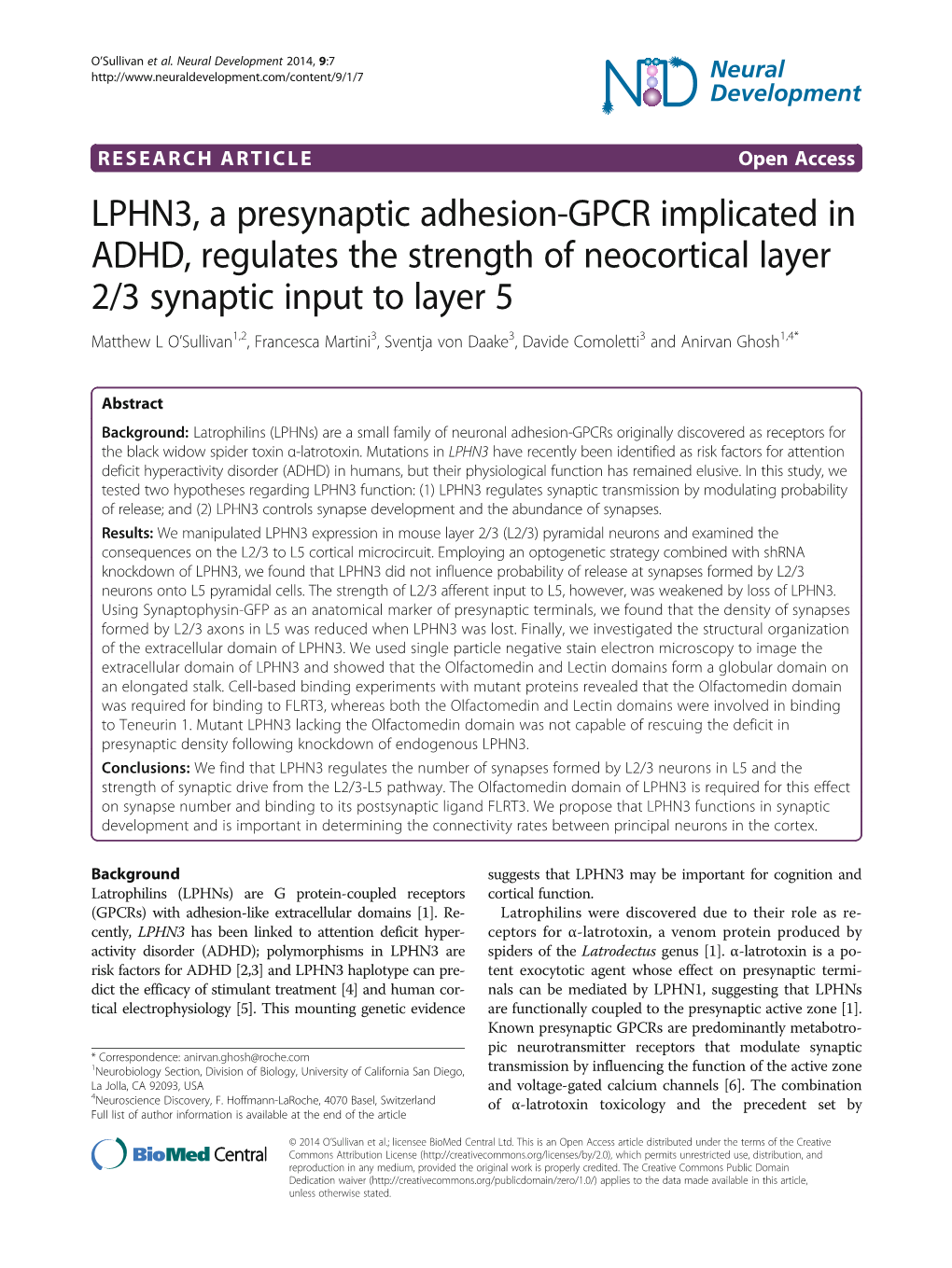 LPHN3, a Presynaptic Adhesion-GPCR Implicated In