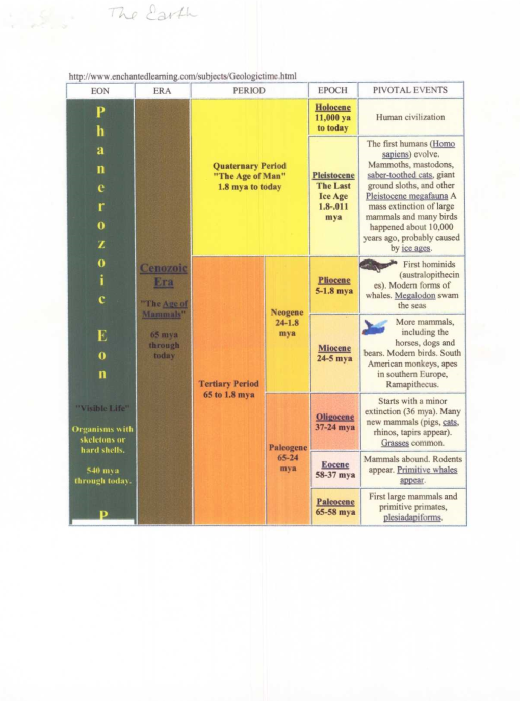 Geologic Timeline