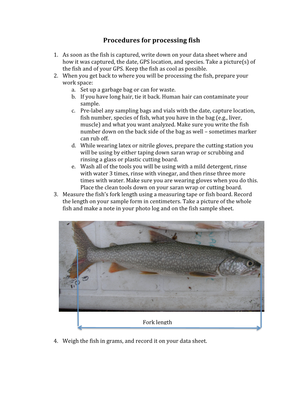 Procedures for Processing Fish