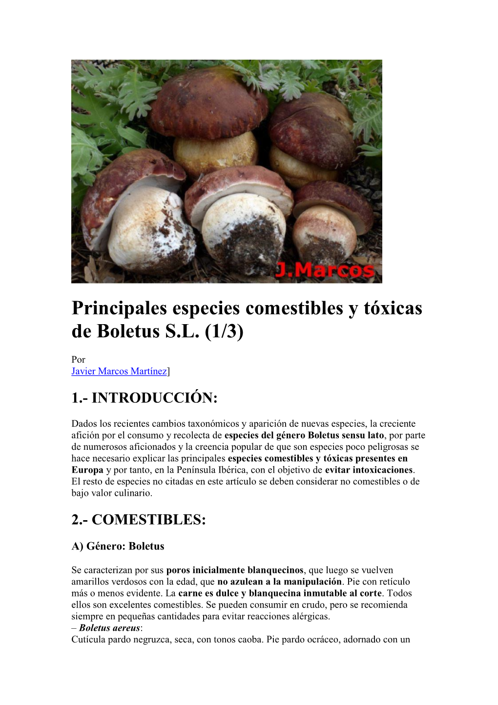 Principales Especies Comestibles Y Tóxicas De Boletus S.L. (1/3)