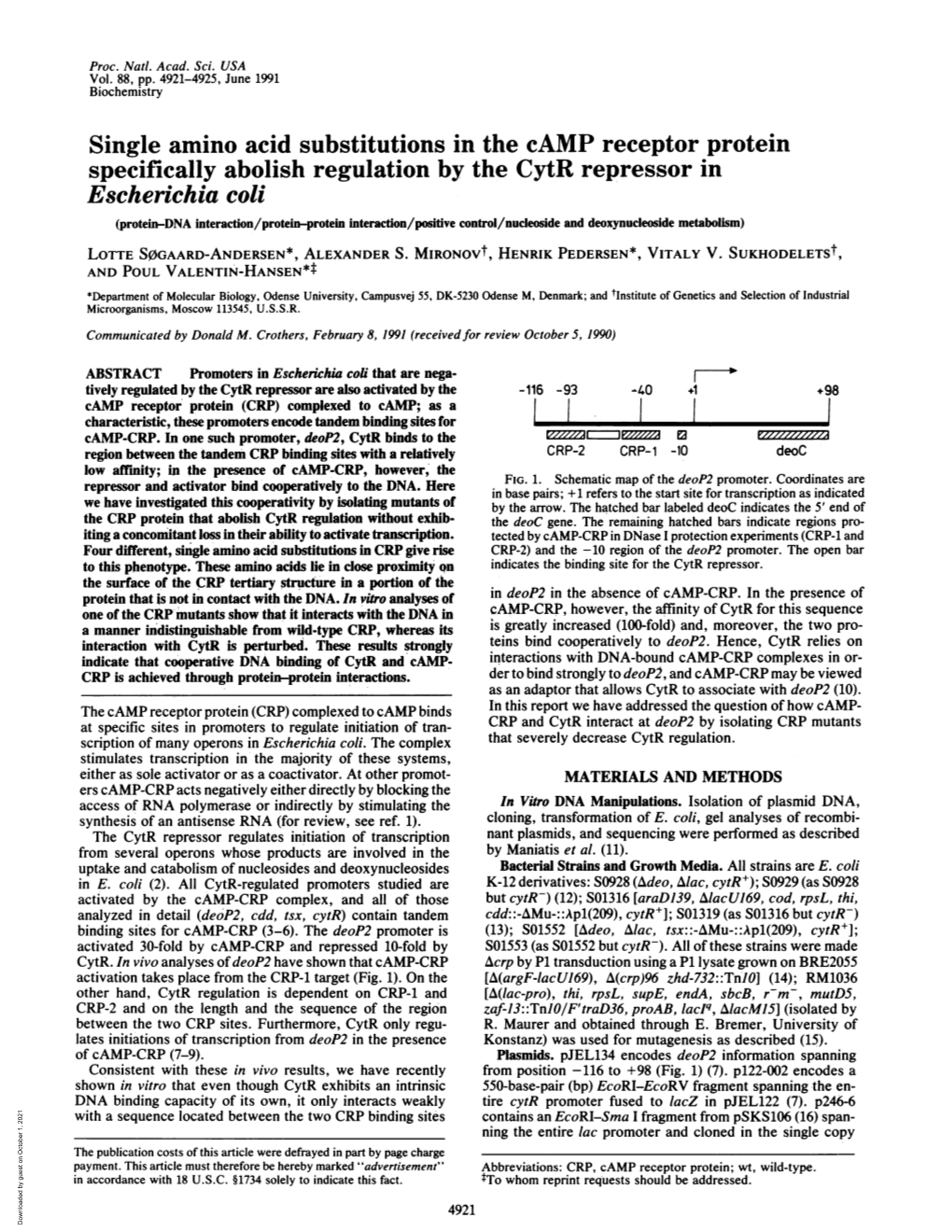 Specifically Abolish Regulation by the Cytr Repressor In