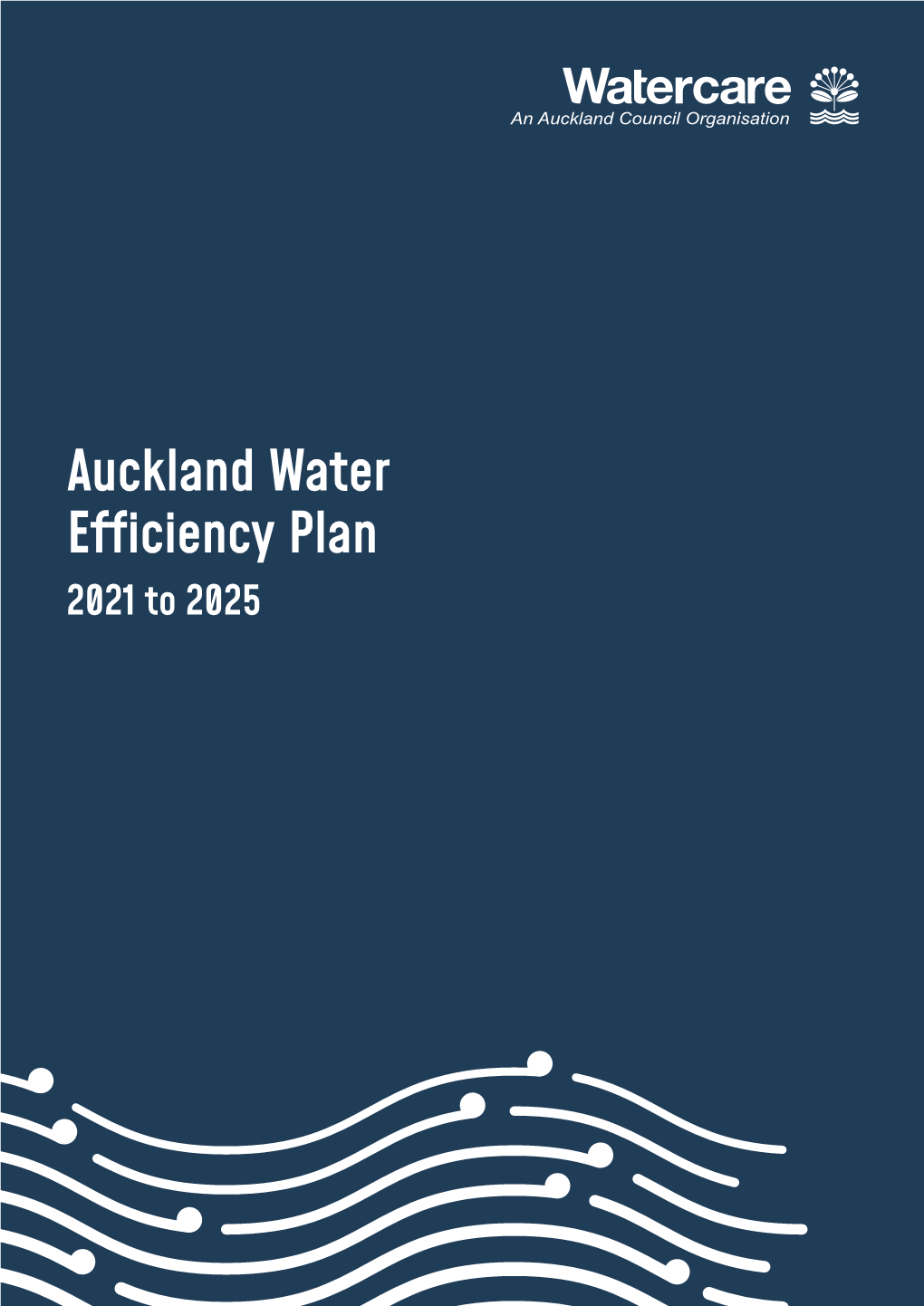 Auckland Water Efficiency Plan 2021-2025 Contents