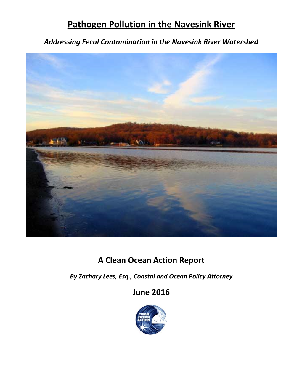 Pathogen Pollution in the Navesink River