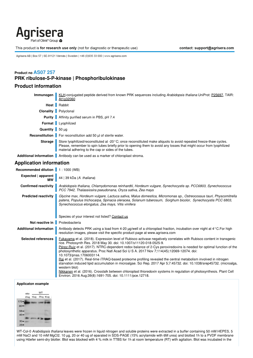 PRK Ribulose-5-P-Kinase | Phosphoribulokinase Product Information