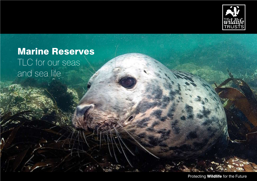 Marine Reserves TLC for Our Seas and Sea Life