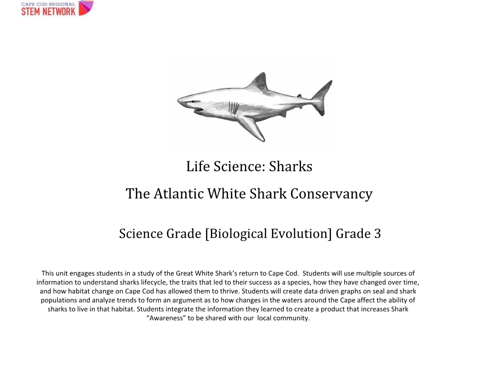 Life Science: Sharks the Atlantic White Shark Conservancy
