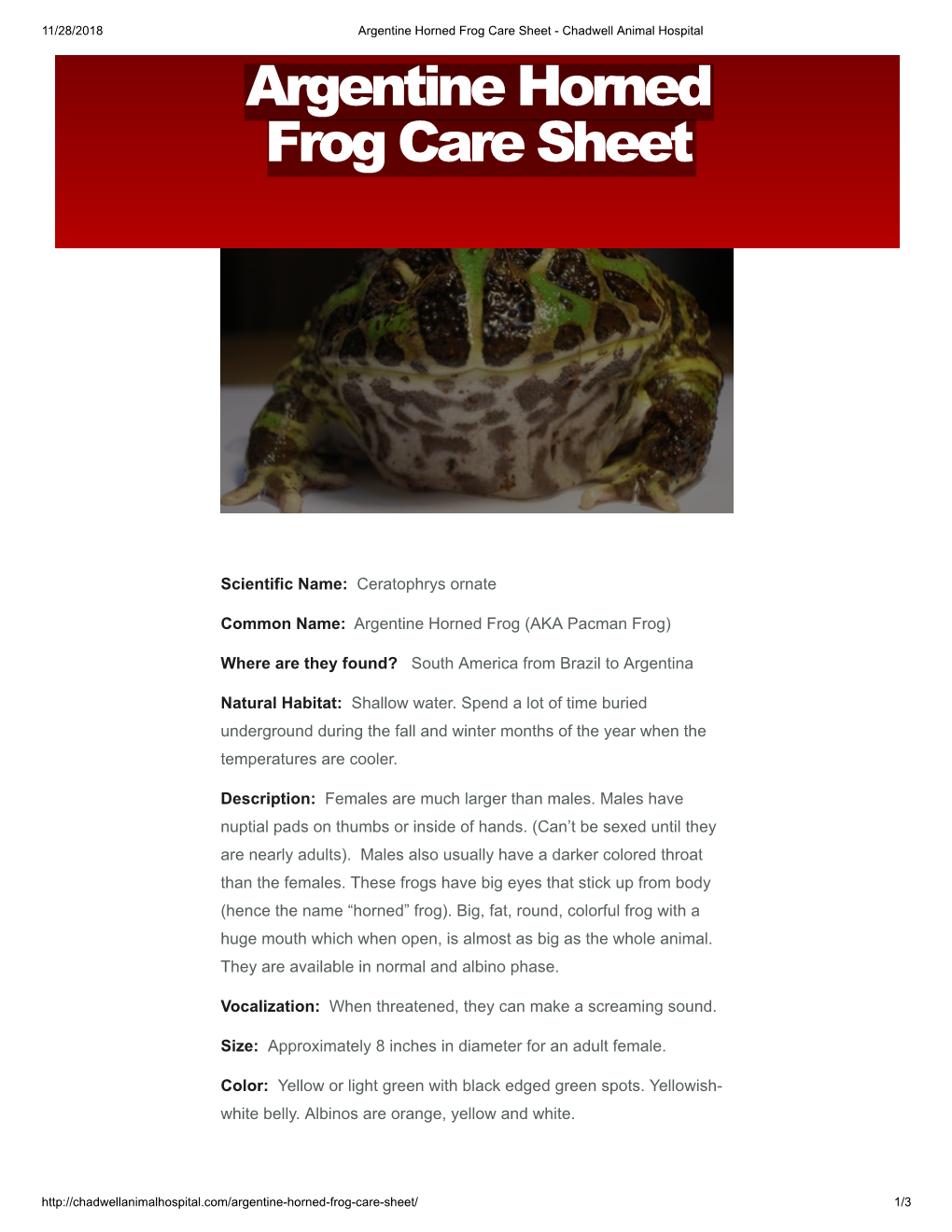 Argentine Horned Frog Care Sheet - Chadwell Animal Hospital Argentine Horned Frog Care Sheet