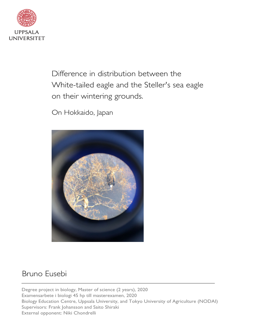 Difference in Distribution Between the White-Tailed Eagle and the Steller's Sea Eagle on Their Wintering Grounds