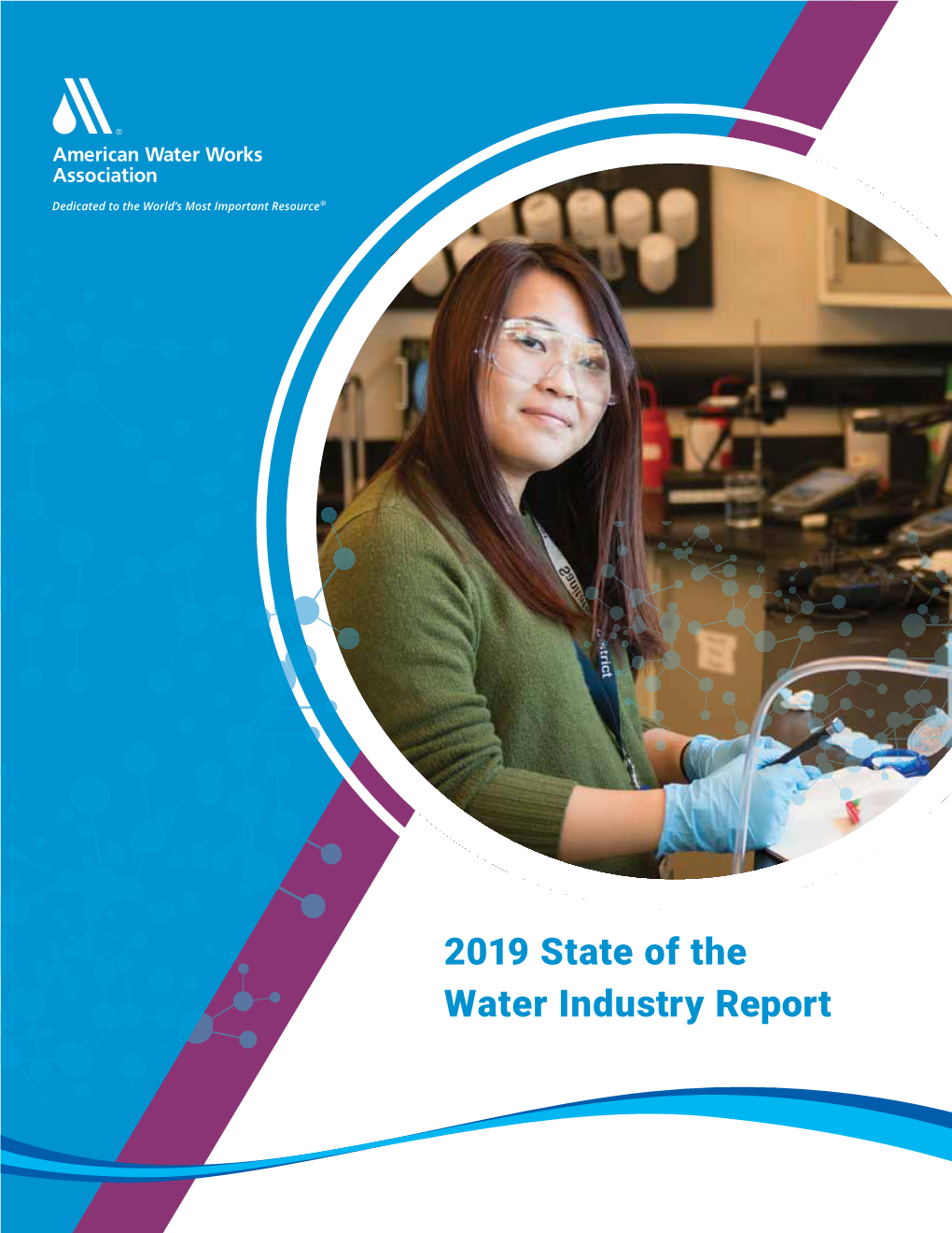 2019 State of the Water Industry Report